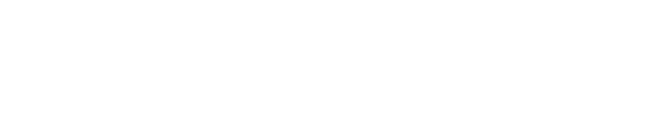 Planicon